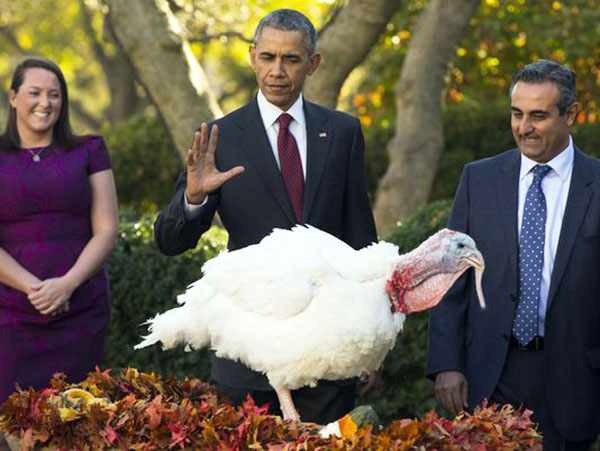 Mr Jihad Douglas remets la dinde de Thanksgiving à Barak Obama. :: Aviagen  Turkeys